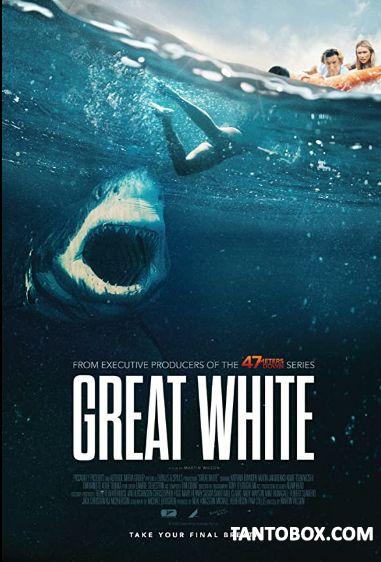 GREAT WHITE