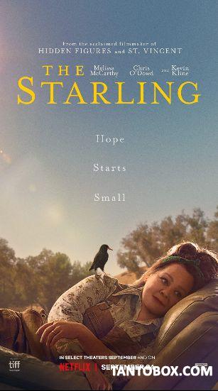 THE-STARLING