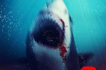 BULL SHARK 2