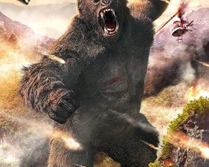 KINGKONG IS COMING BACK