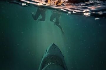DEEP WATER
