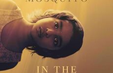 A MOSQUITO IN THE AIR