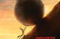 COYOTE VS ACME