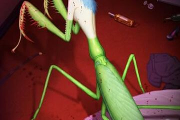 PRAYING MANTIS