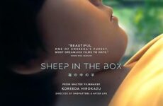SHEEP IN THE BOX