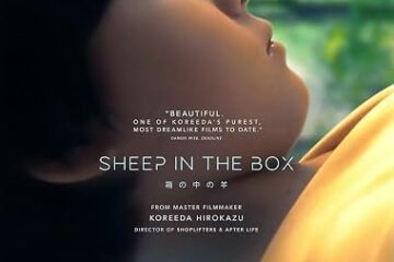 SHEEP IN THE BOX