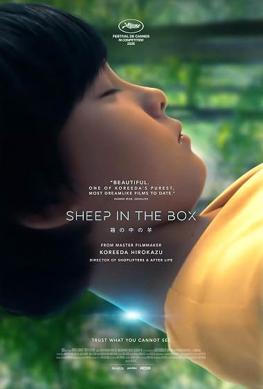 SHEEP IN THE BOX